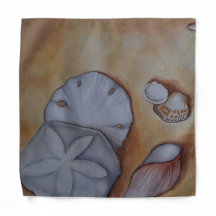 シーショアでの貝殻