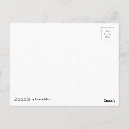 シーショアのはがきの貝殻 ポストカード (裏面)