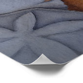 シーショアの貝殻 ポスター (角)