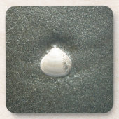 シーショアシェルフクナマタタ.JPG コースター (正面)