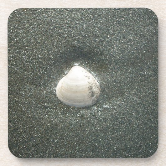 シーショアシェルフクナマタタ.JPG コースター (正面)