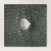 シーショアシェルフクナマタタ.JPG ジグソーパズル (横)