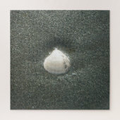 シーショアシェルフクナマタタ.JPG ジグソーパズル (縦)