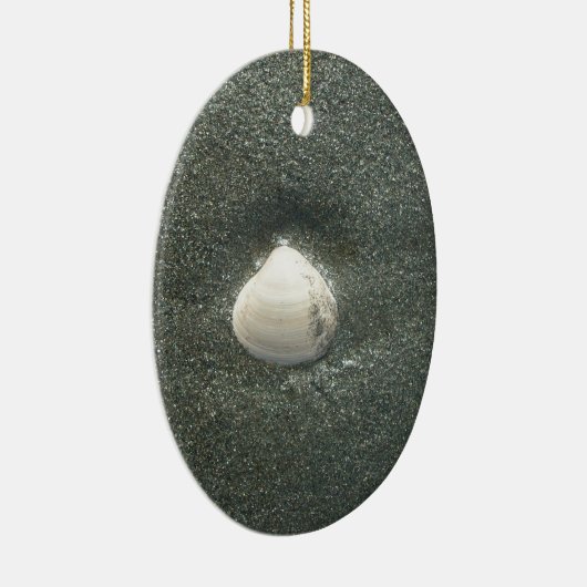 シーショアシェルフクナマタタ.JPG セラミックオーナメント (右)