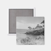 シーショア マグネット (正面/裏面)