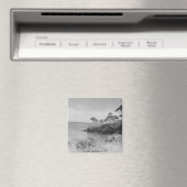 シーショア マグネット (インサイチュ (食洗機))