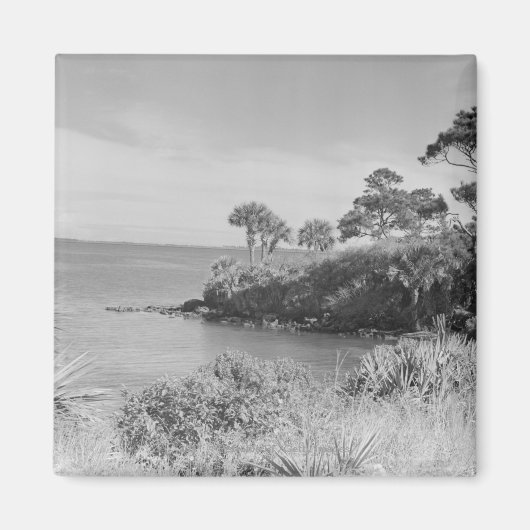 シーショア マグネット (正面)