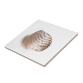 シーシ独身のル タイル (側面)