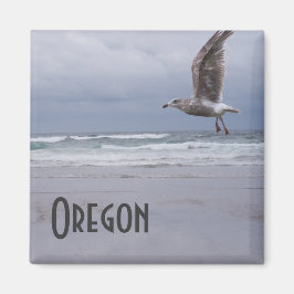 シージプシー磁石 マグネット