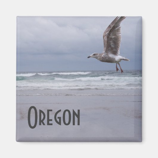 シージプシー磁石 マグネット (正面)