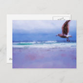 シージプシー葉書 ポストカード (正面/裏面)