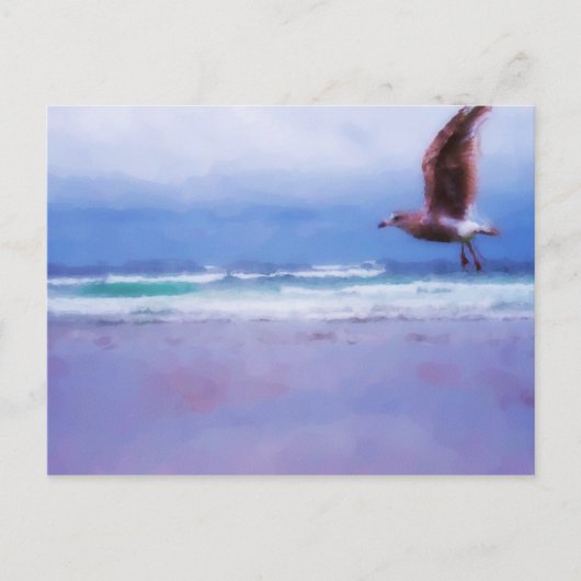 シージプシー葉書 ポストカード (正面)