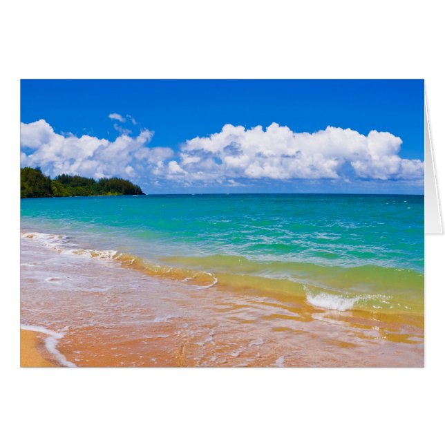 シースケープアロングハナレイベイ (正面横)