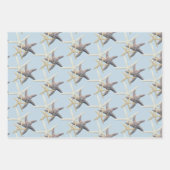 シースターズシェードオブブルー ラッピングペーパーシート (正面2)