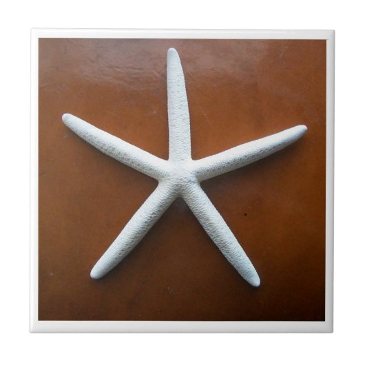 シースタータイル タイル (正面)