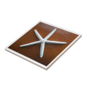 シースタータイル タイル (側面)