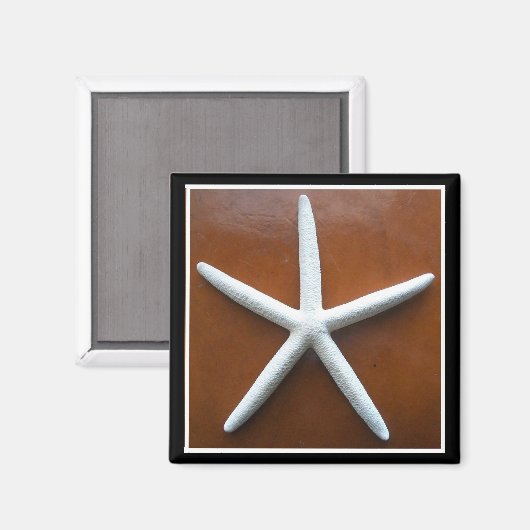 シースターマグネット マグネット (正面/裏面)