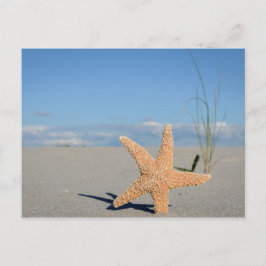 シースターンアムストランド ポストカード