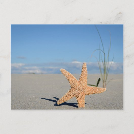 シースターンアムストランド ポストカード (正面)