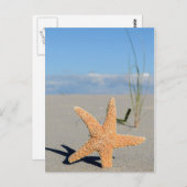 シースターンアムストランド ポストカード (正面/裏面)