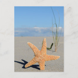 シースターンアムストランド ポストカード