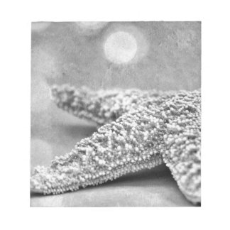 シースター ノートパッド