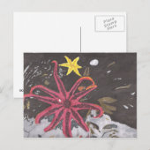 シースター ポストカード (正面/裏面)