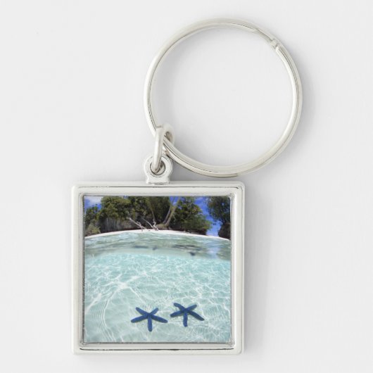 シースター、ロック諸島、パラオ2 キーホルダー (正面)