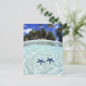 シースター、ロック諸島、パラオ2 ポストカード (スタンド正面)