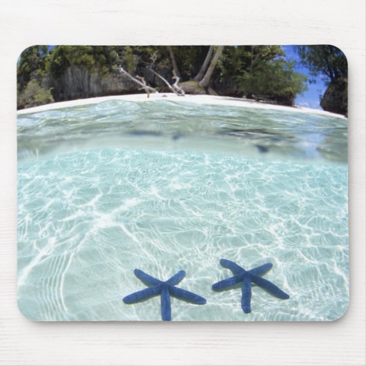 シースター、ロック諸島、パラオ2 マウスパッド (正面)
