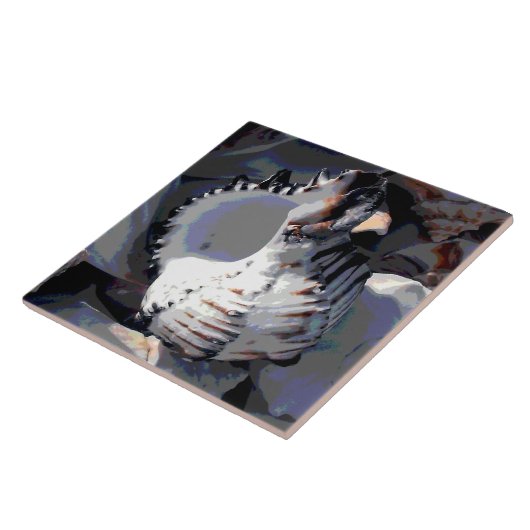 シーストライプのシェル タイル (側面)