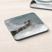 シースプレー コースター (左側)