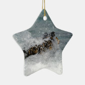 シースプレー セラミックオーナメント (右)