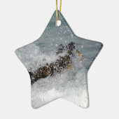 シースプレー セラミックオーナメント (左)