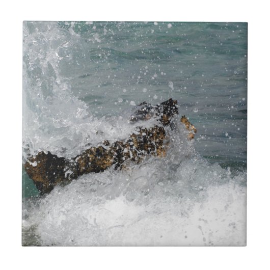 シースプレー タイル (正面)