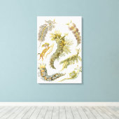 シースラグズバイエルンスト・ヘイケル、ヴィンテージNudibranchia キャンバスプリント (インサイチュ (ウッドフロア))