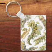 シースラグズバイエルンスト・ヘイケル、ヴィンテージNudibranchia キーホルダー (正面)