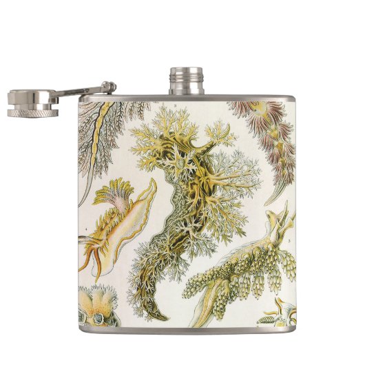 シースラグズバイエルンスト・ヘイケル、ヴィンテージNudibranchia フラスク (オープン)