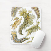 シースラグズバイエルンスト・ヘイケル、ヴィンテージNudibranchia マウスパッド (マウス)