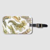 シースラグズバイエルンスト・ヘイケル、ヴィンテージNudibranchia ラゲッジタグ (正面横)