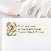 シースラグズバイエルンスト・ヘイケル、ヴィンテージNudibranchia ラベル (インサイチュ)