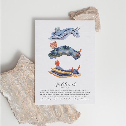 シースラグ葉書 シーズンポストカード