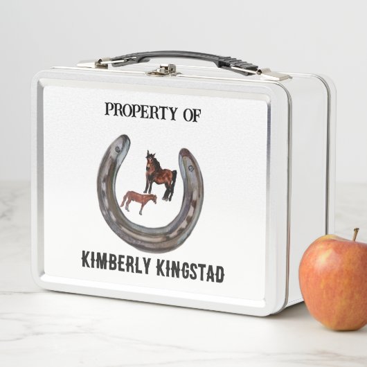 シース洗浄用供給箱 メタルランチボックス (インサイチュ)