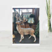 ***シーズすてきン***お考えよう シーズンカード (正面)