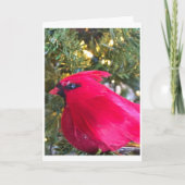 ***シーズすてきン***お考えよう シーズンカード (正面)