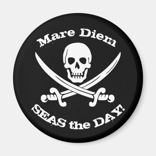 シーズザデイ海賊磁石 マグネット (正面)