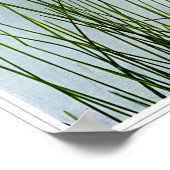 シーズドコットングラスのポスター ポスター (角)