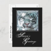 シーズンのグリーティングウィンターホワイトタイガー シーズンポストカード (正面/裏面)