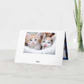 シーズンのグリーティングブルーバッファロープレイドスノーフレーク シーズンカード (裏面)