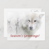 シーズンのグリーティングホワイトウルフポストカード シーズンポストカード (正面/裏面)